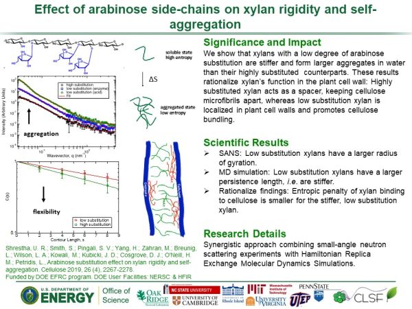Research highlight from Loukas Petridis about arabinose side-chains effecting rigidity
